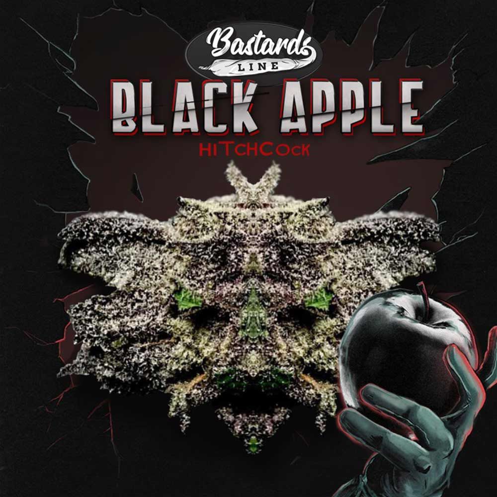 Black Apple Hitchcock – T.H.Seeds (Bastards Line) - Seeds