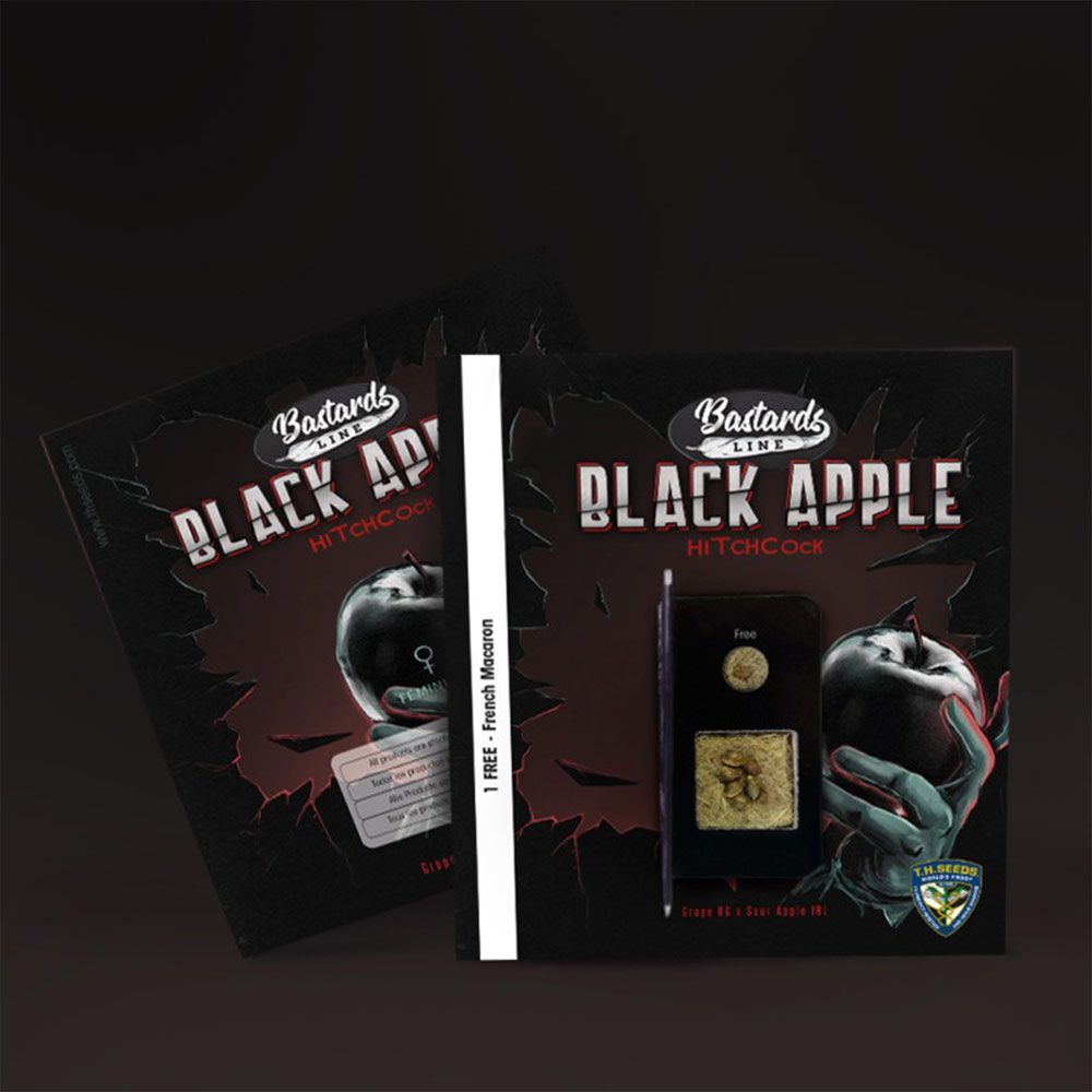 Black Apple Hitchcock – T.H.Seeds (Bastards Line) - Seeds