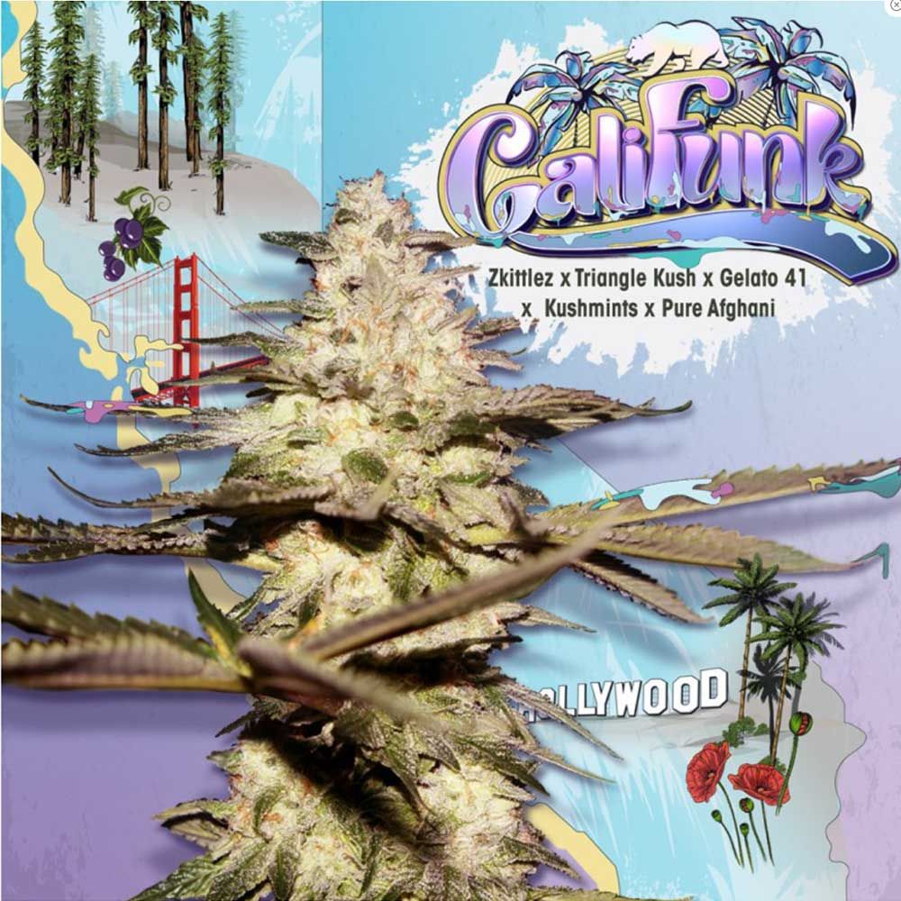 CaliFunk – T.H.Seeds - Seeds