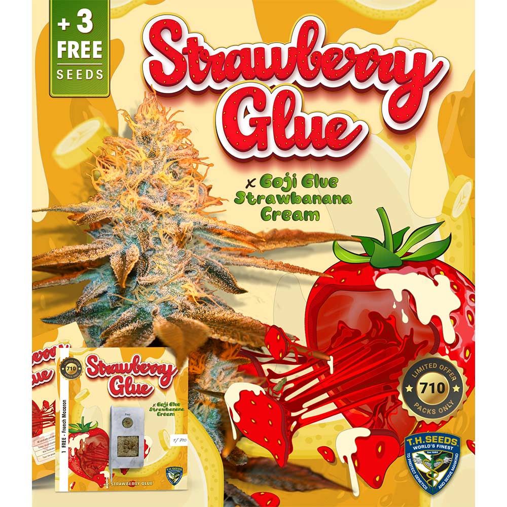 Strawberry Glue – T.H.Seeds (Bastards Line) - Seeds